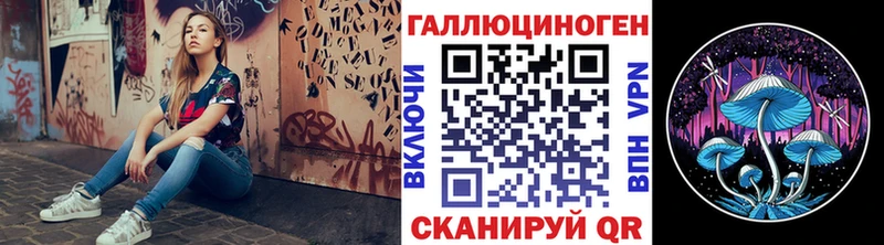 как найти наркотики Долгопрудный Псилоцибиновые грибы Psilocybe